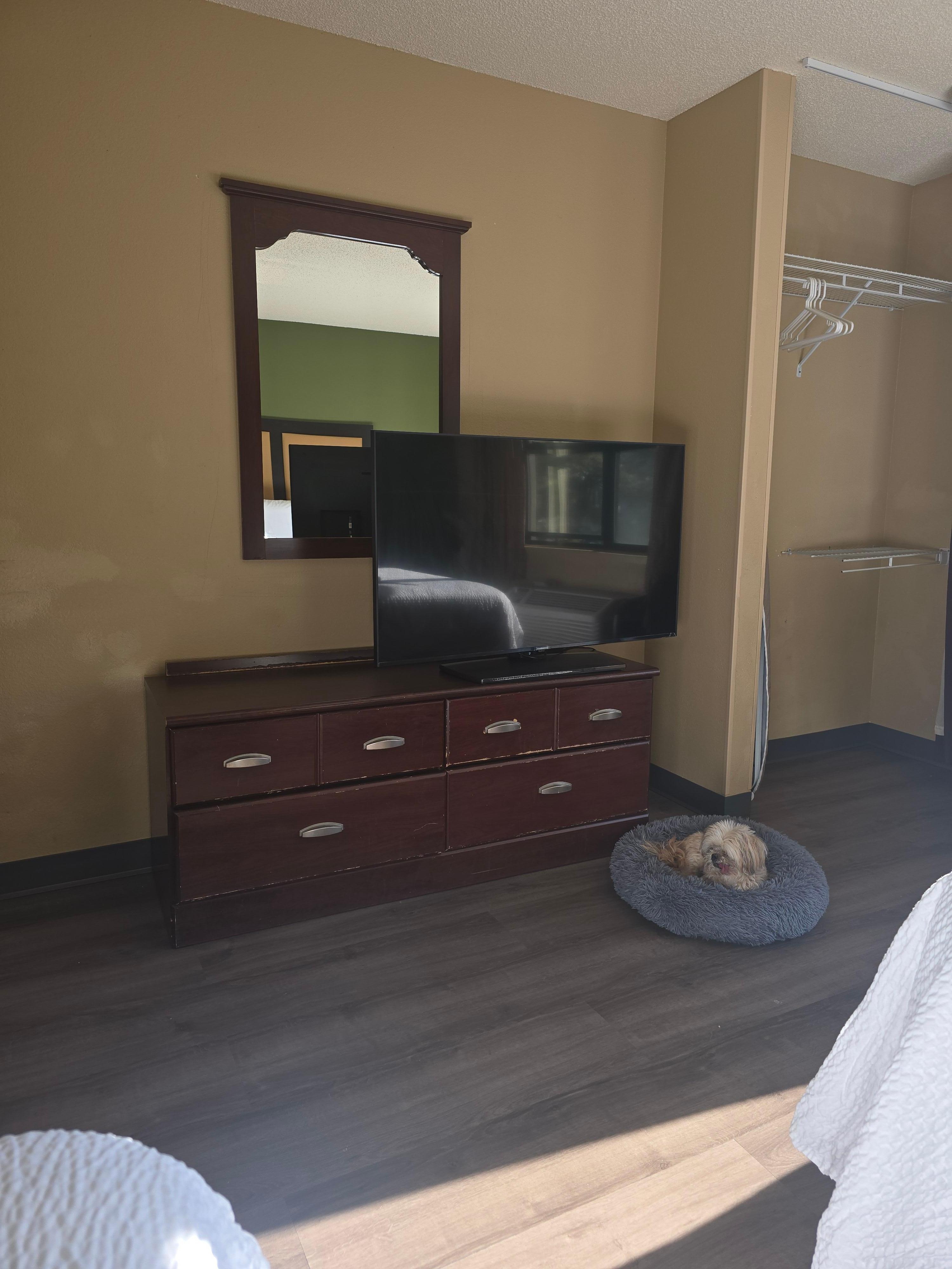 Room was a little dated but it was pet friendly.  