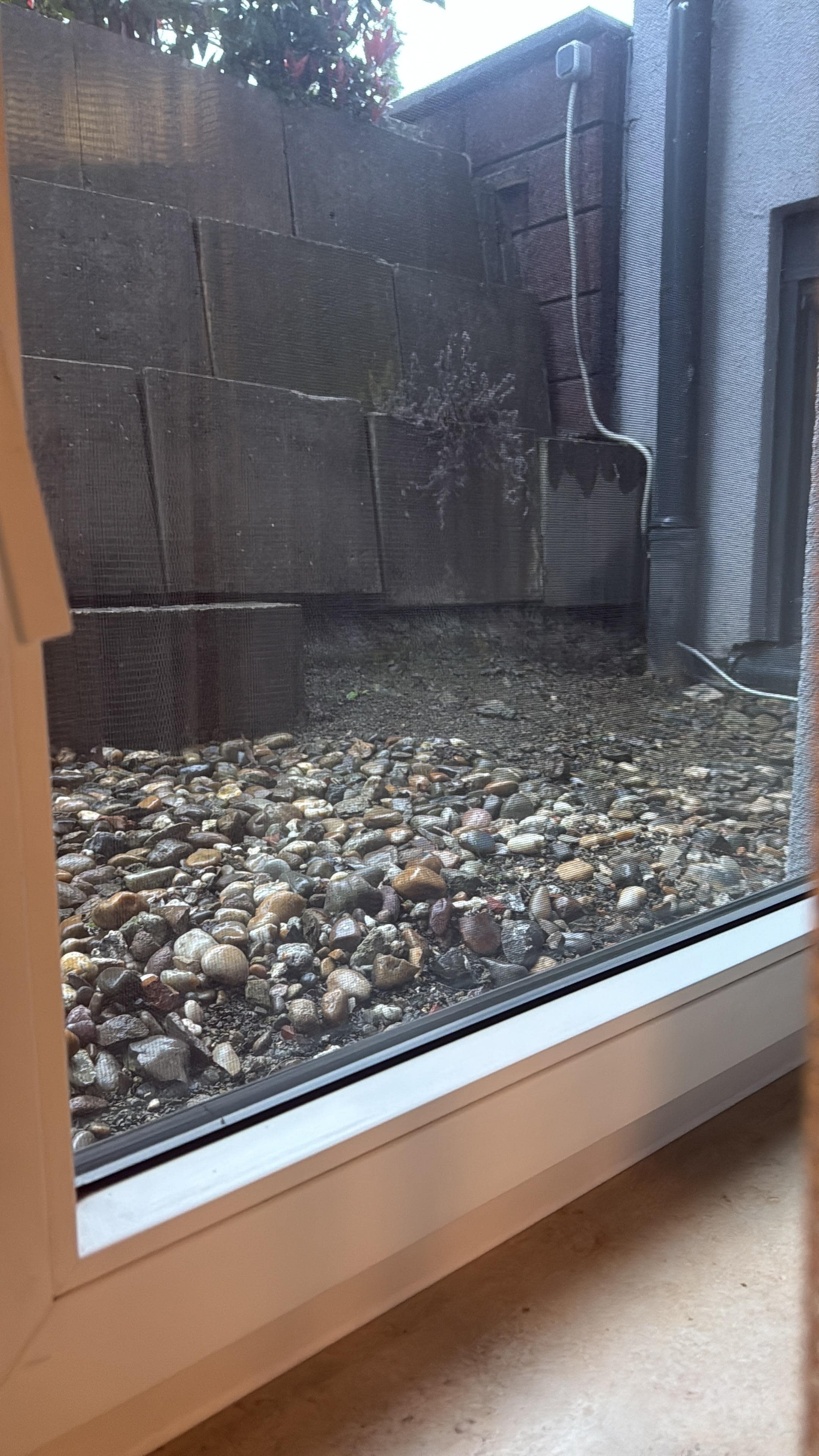 View from the window 😨