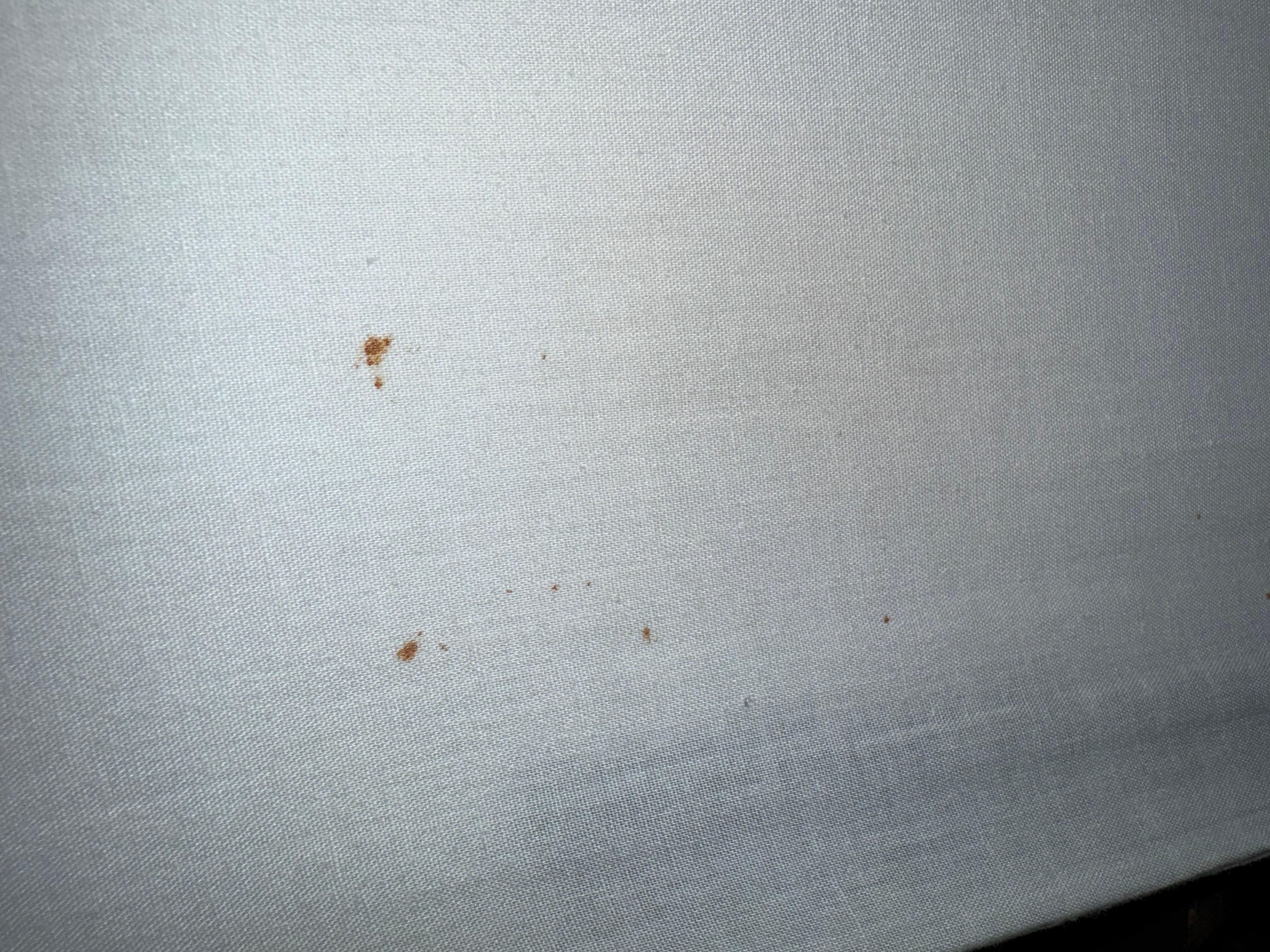 Old room with bed bug stains 