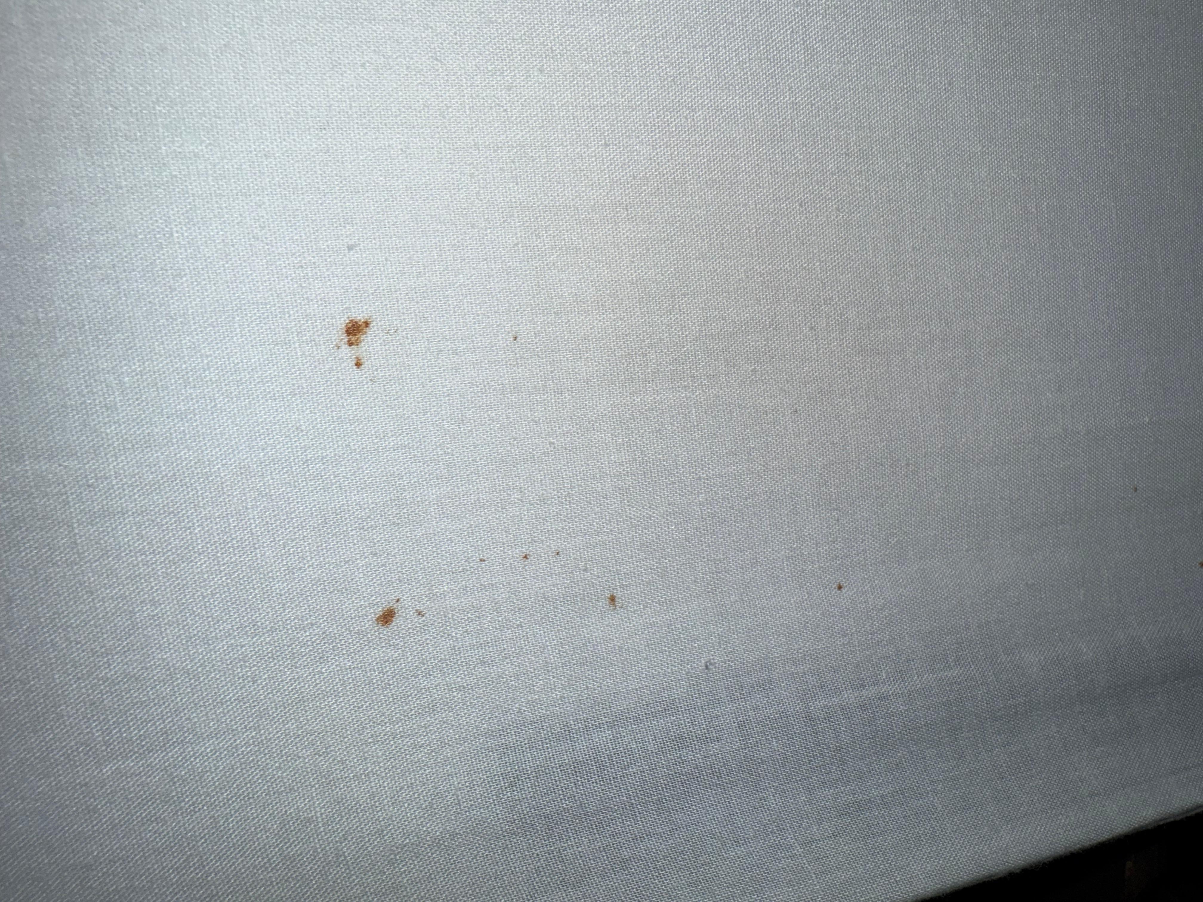 Old room with bed bug stains