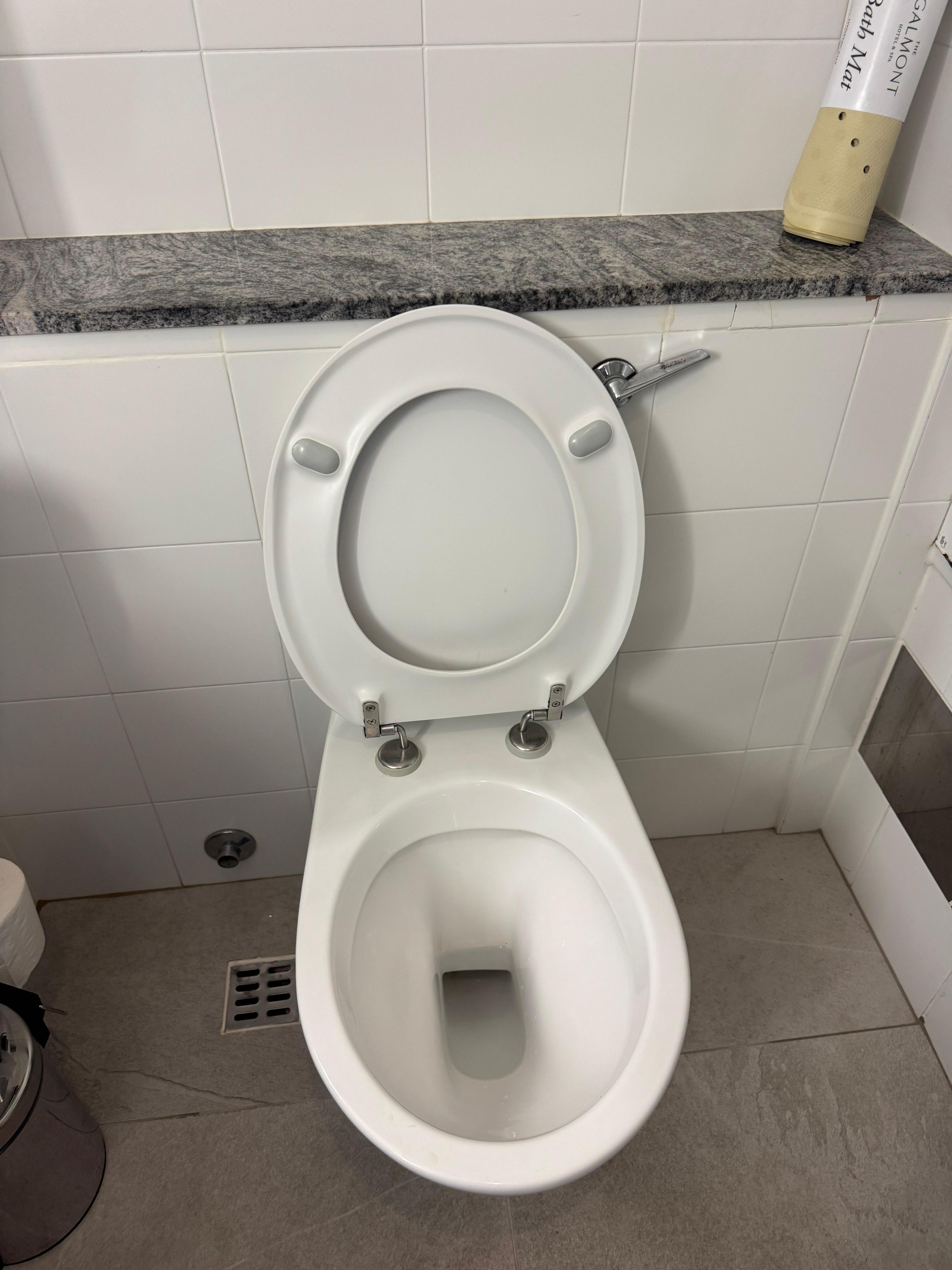 The toilet seat was loose & swiveled.
