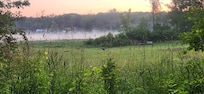 Fog rising over morning lake, with sandhill crane in the grass