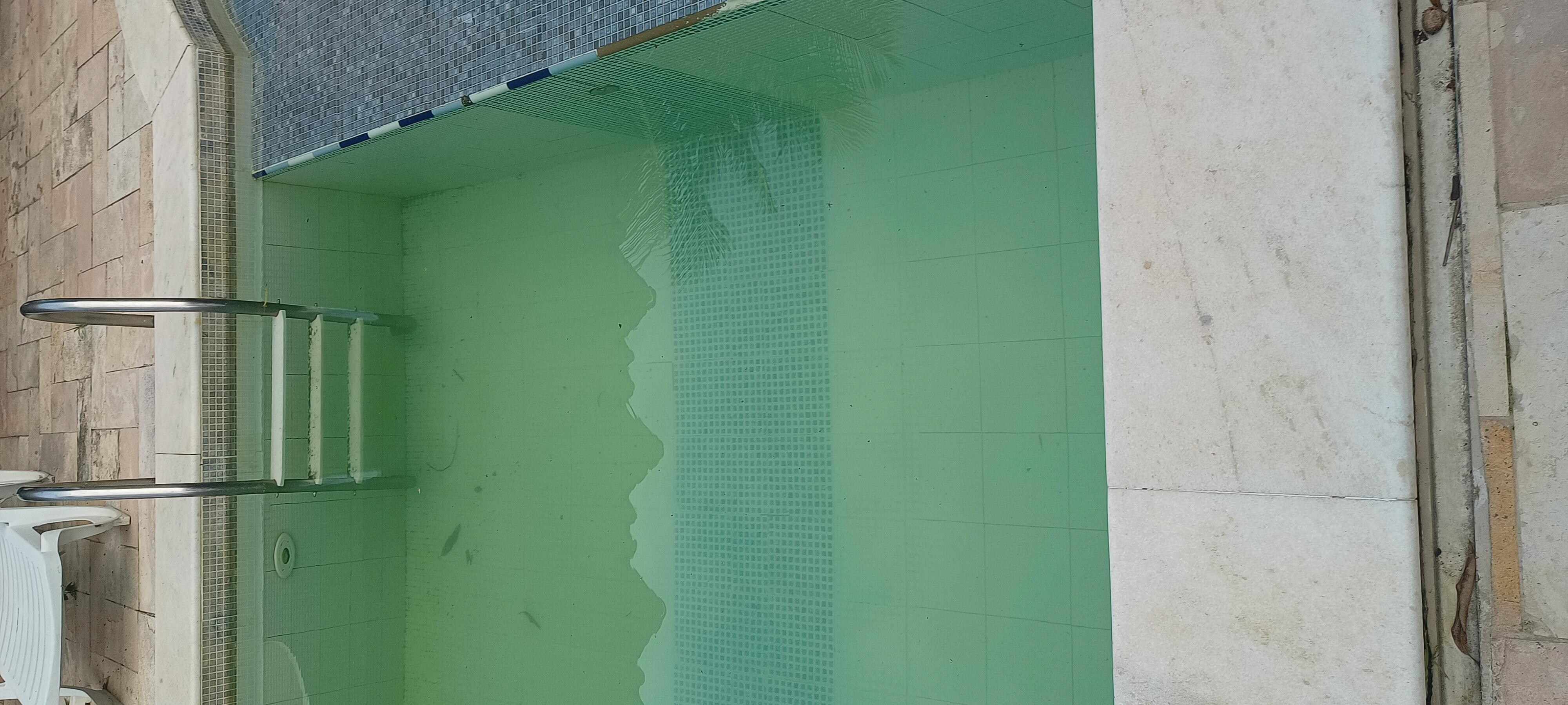 Pousada da Barra
Piscina surja e água esverdeada de algas.