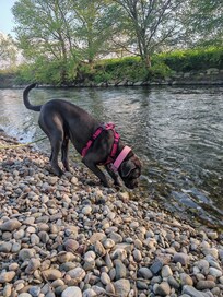 Balades le long de l’Ill à deux pas de la maison . Parfait !
