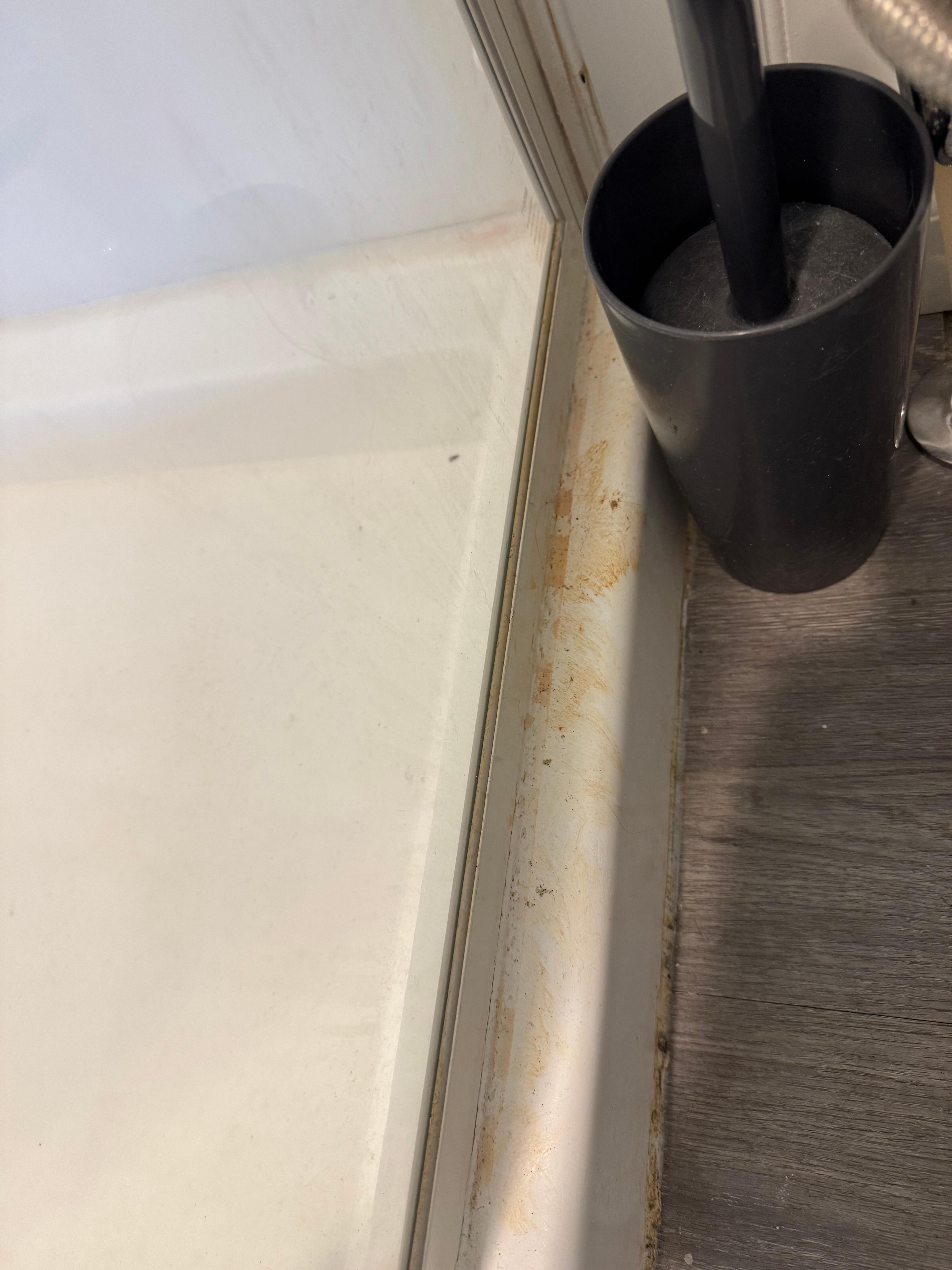 Dried urine next to the toilet. The floor had it dried on it as well.