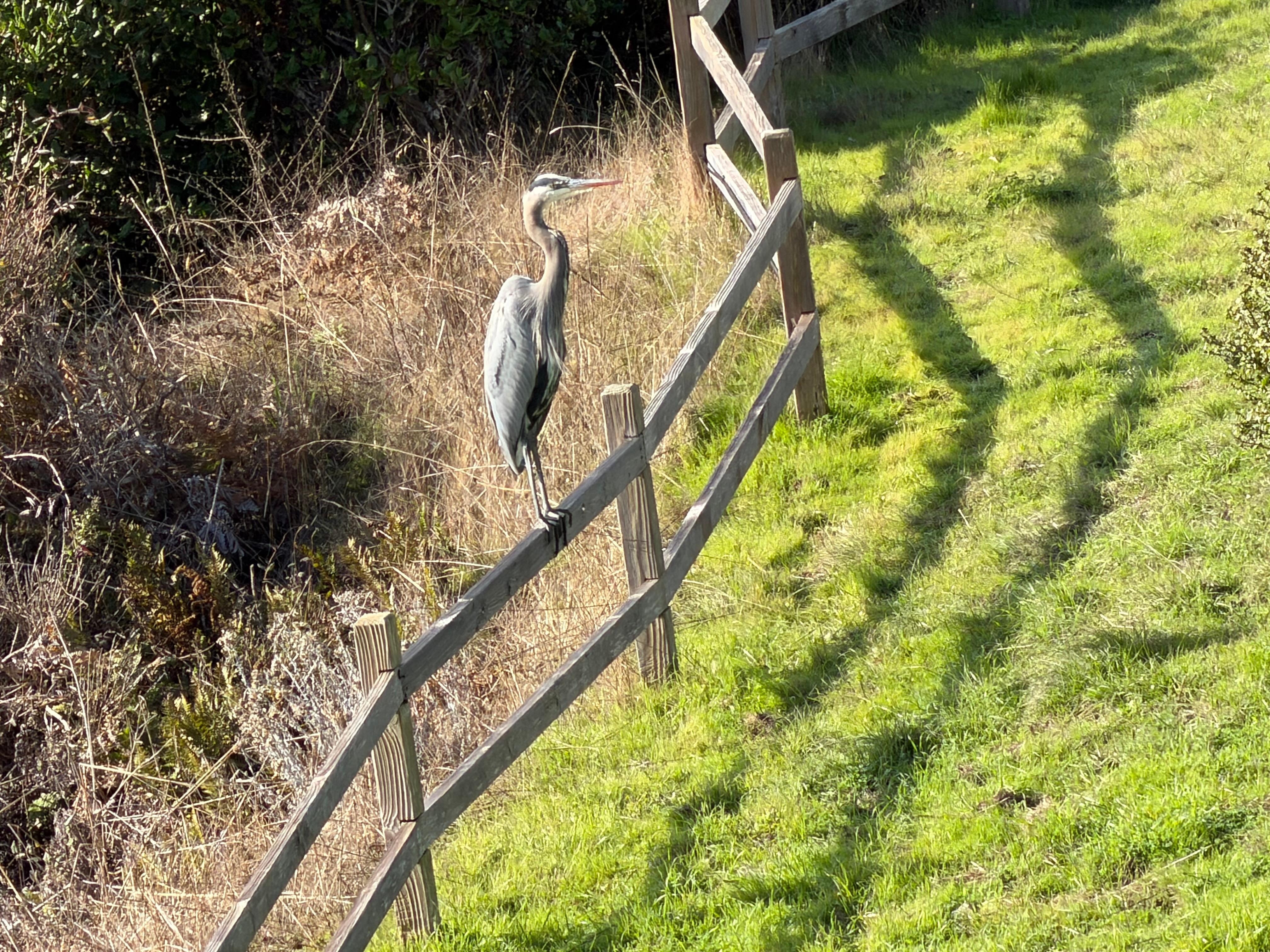 The view from our room.  