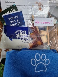A lovely doggy treat basket