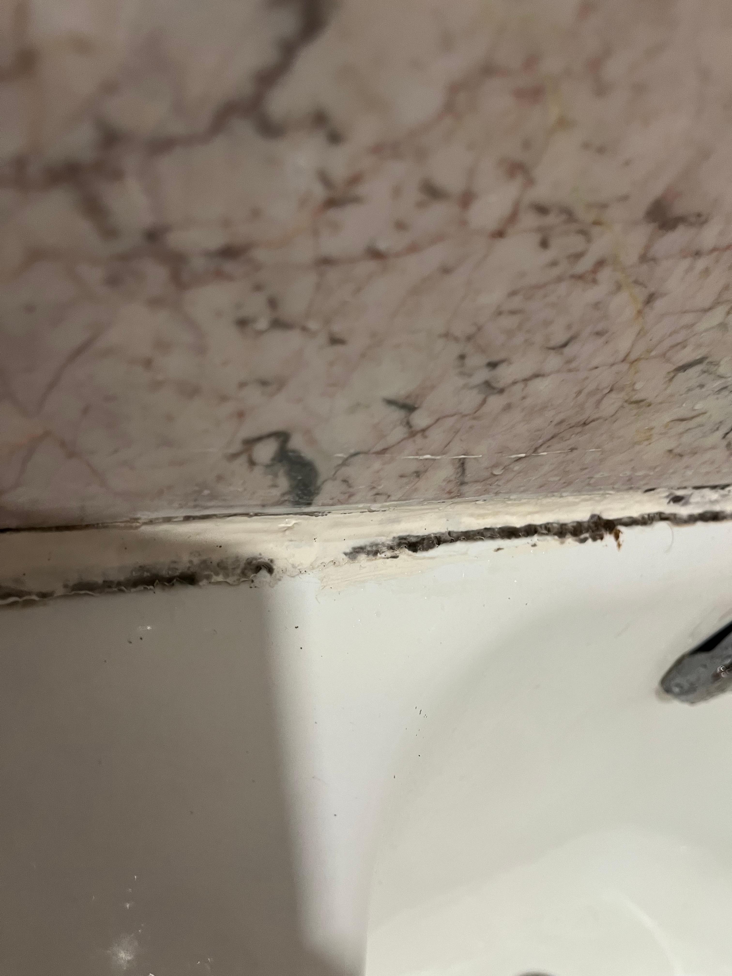 Mold in the bathroom