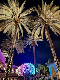 Downtown West Palm at night