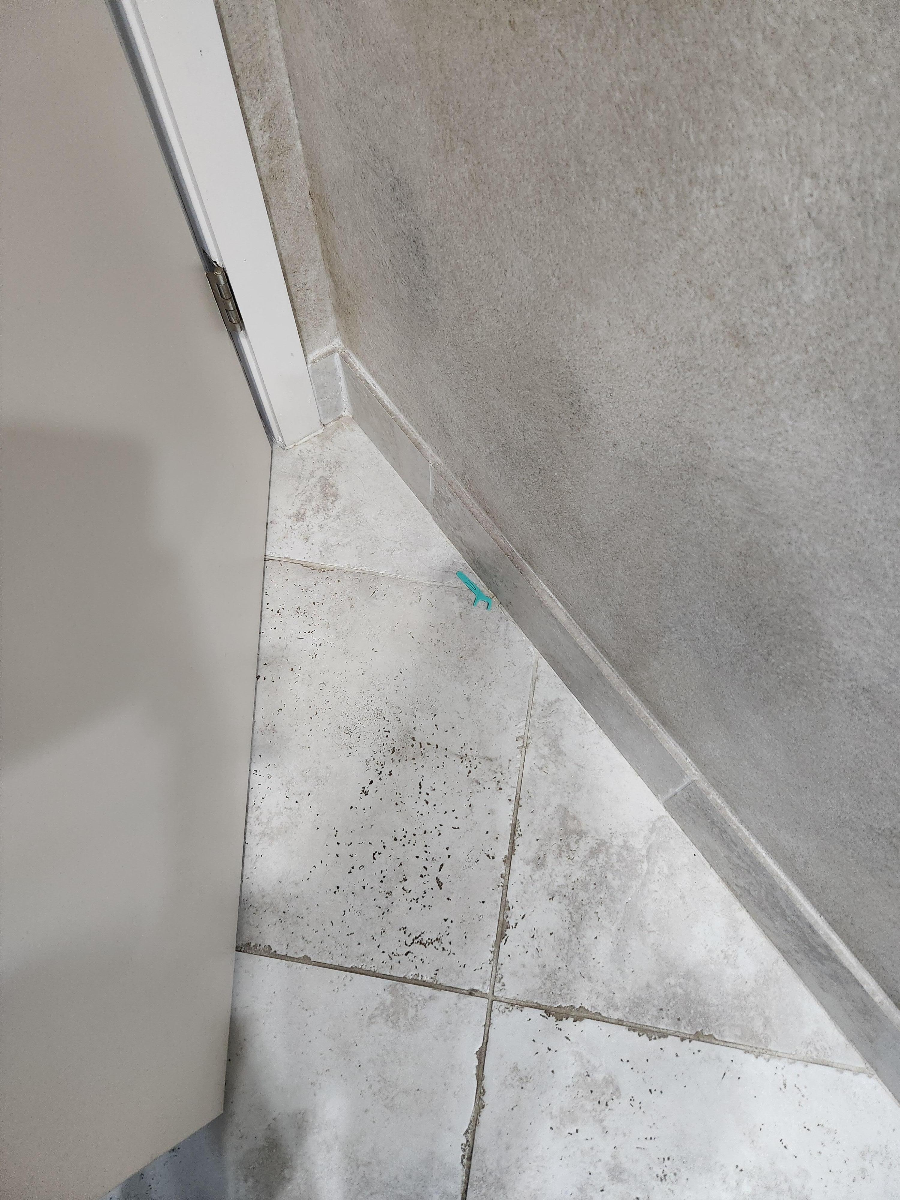 Not our dental floss, left from previous guest