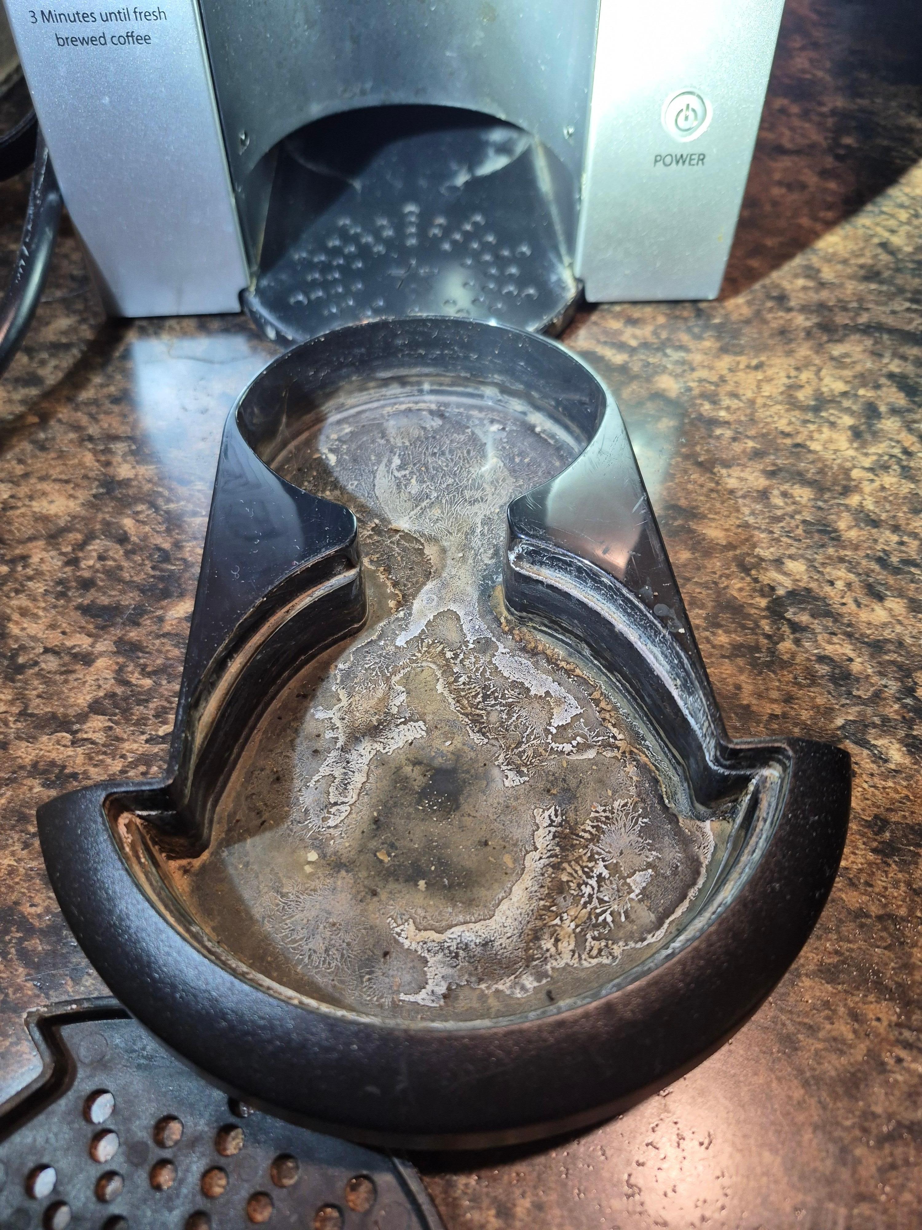 Filthy coffee pot...Grose