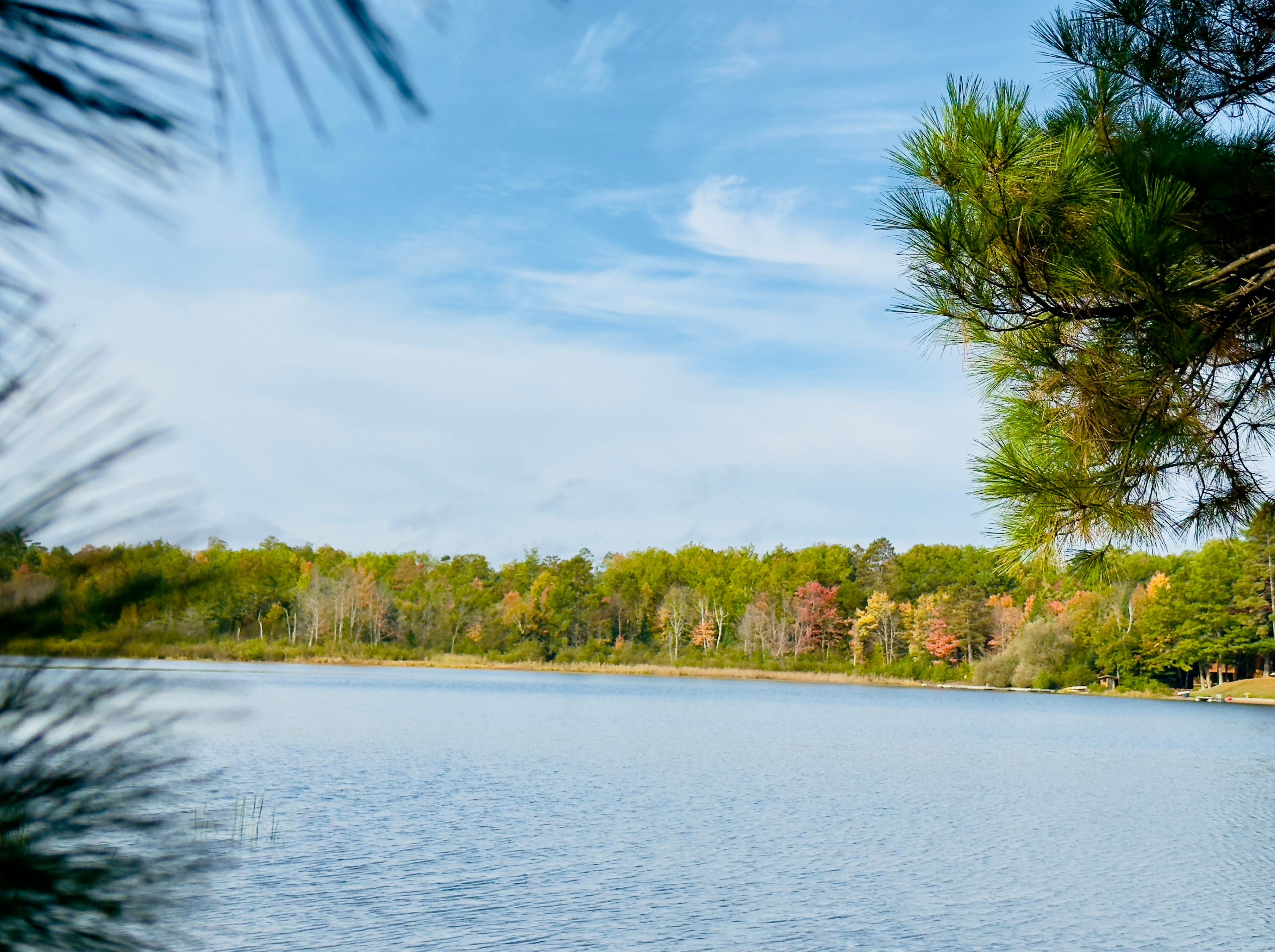 View from the property’s point on the lake