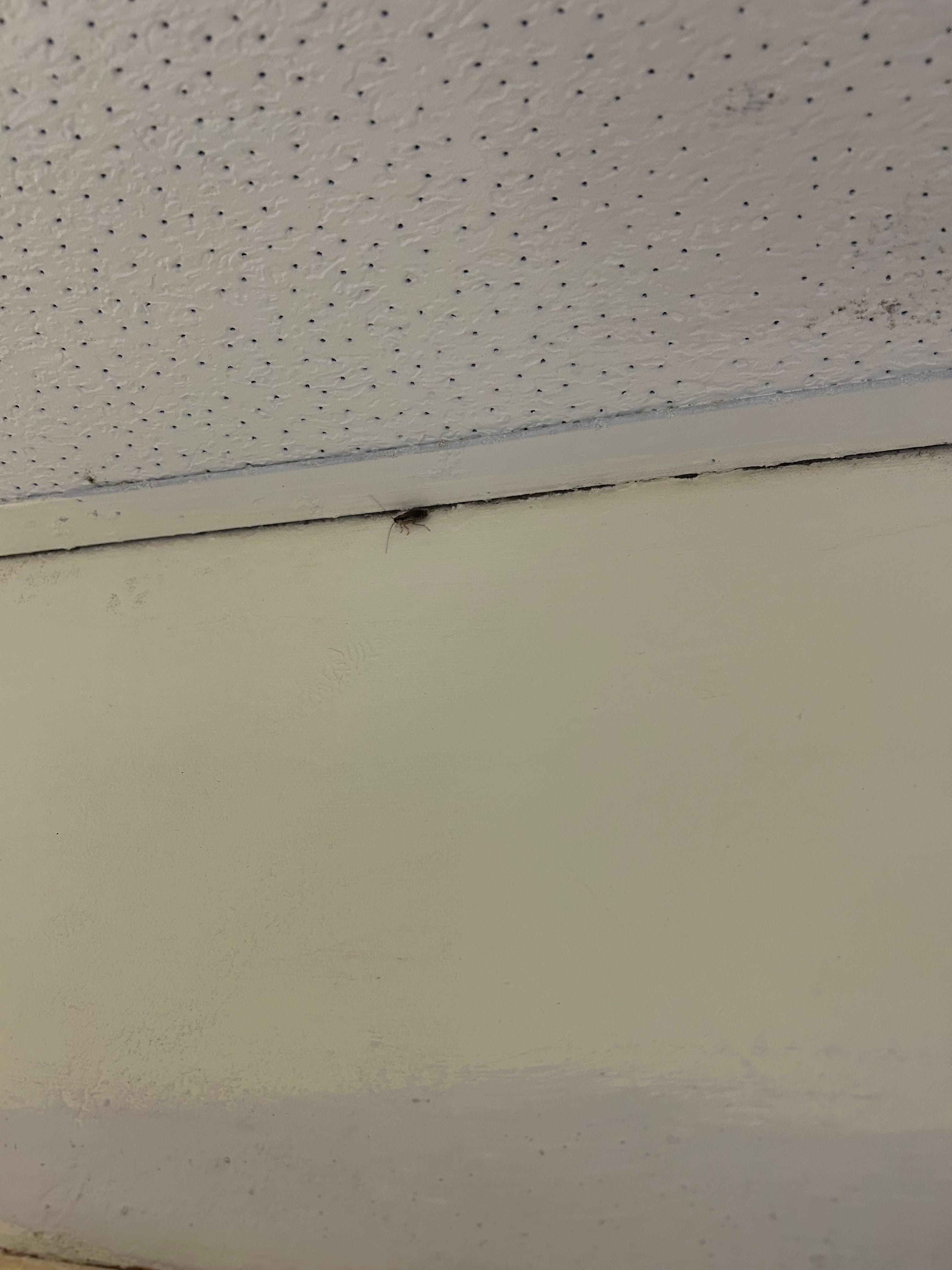 Roach! First thing I saw when we walked in 