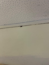 Roach! First thing I saw when we walked in