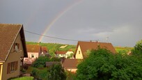Prachtig uitzicht op de Bollenberg met wijnranken vanaf het balkon.