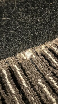 Room 204. Dog’s hair were everywhere