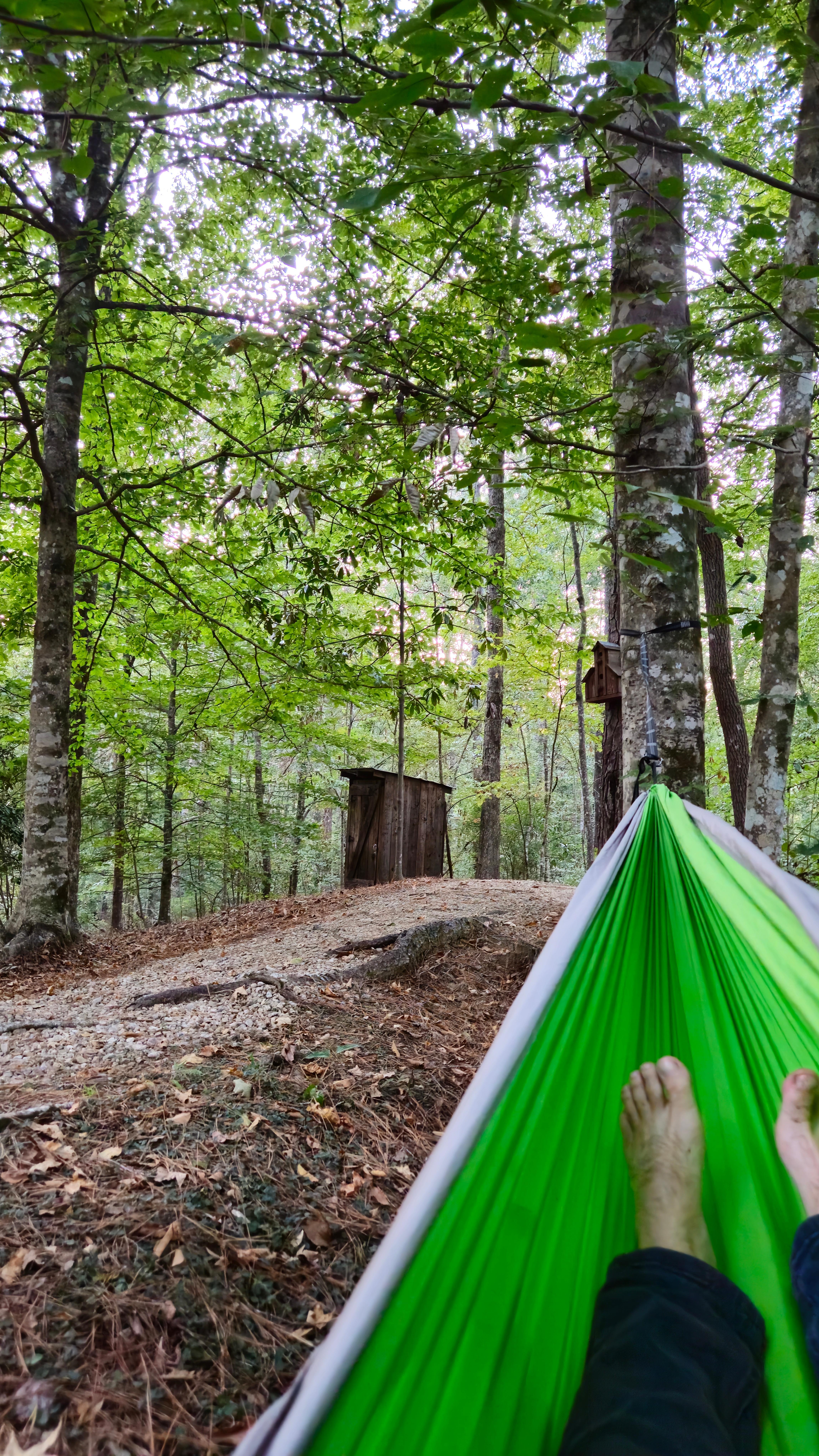 Relaxing with view of a place to do #2 (if you want to be curteous to your other roommates)!