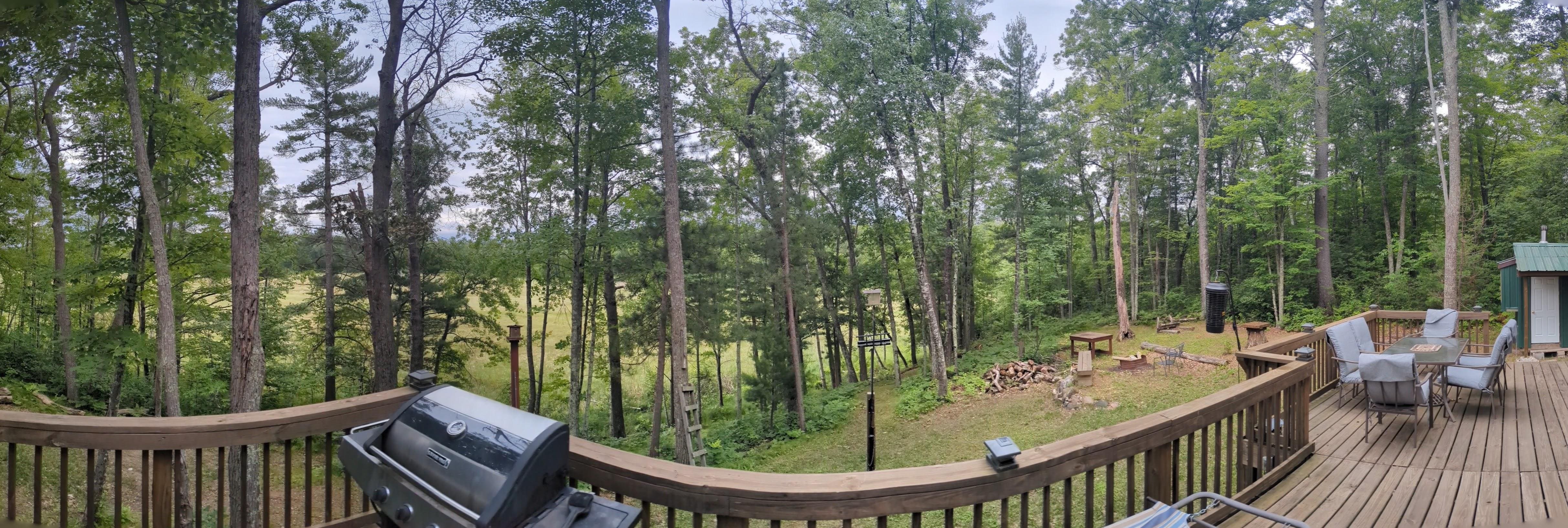 The view off the patio