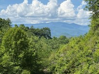 Mountain view from the deck of the "Birdsnest"