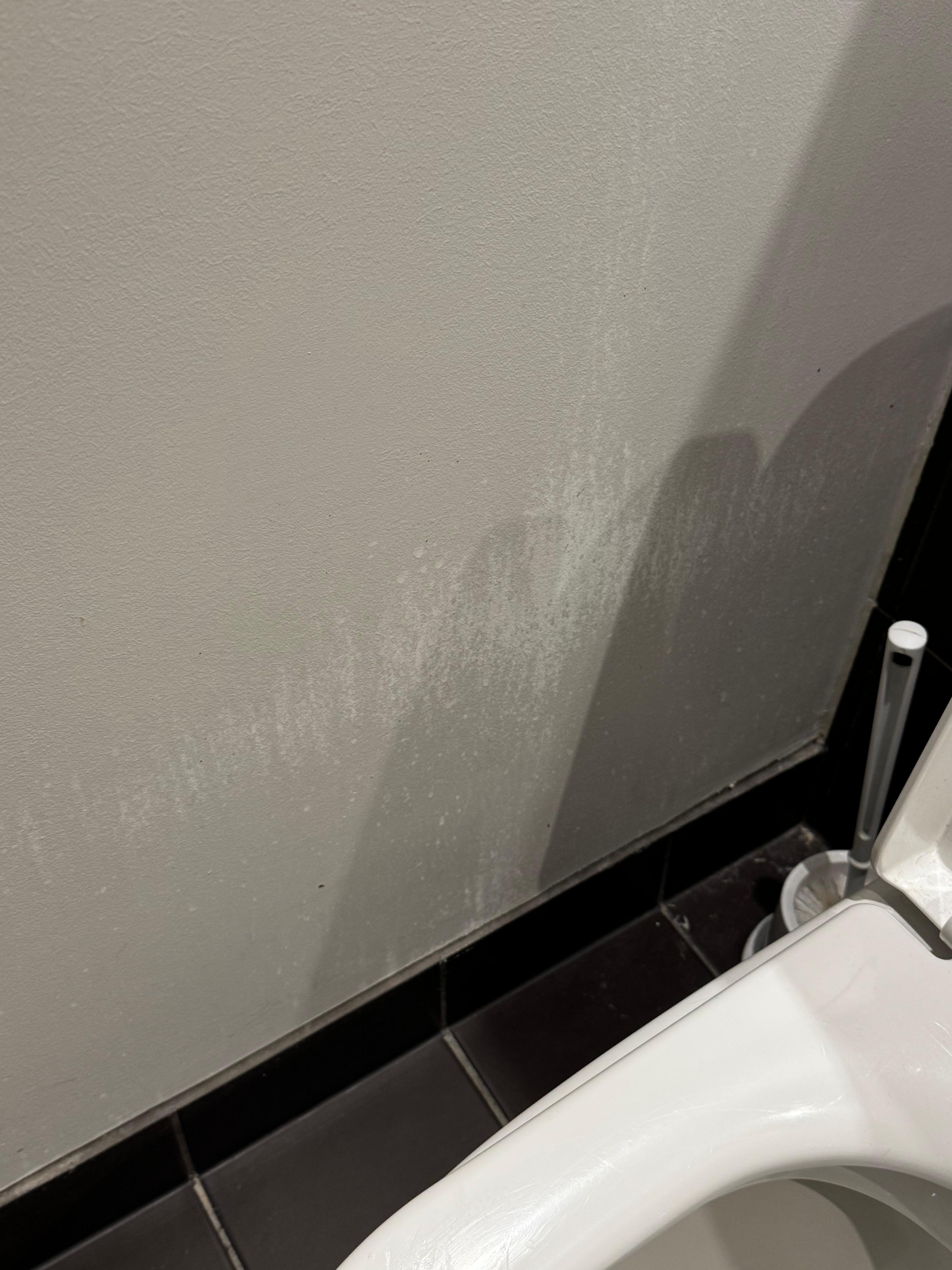 Whatever this is on the wall beside the toilet 