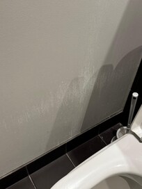 Whatever this is on the wall beside the toilet