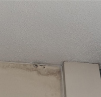 Mold in room
