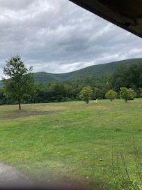 View from our room.