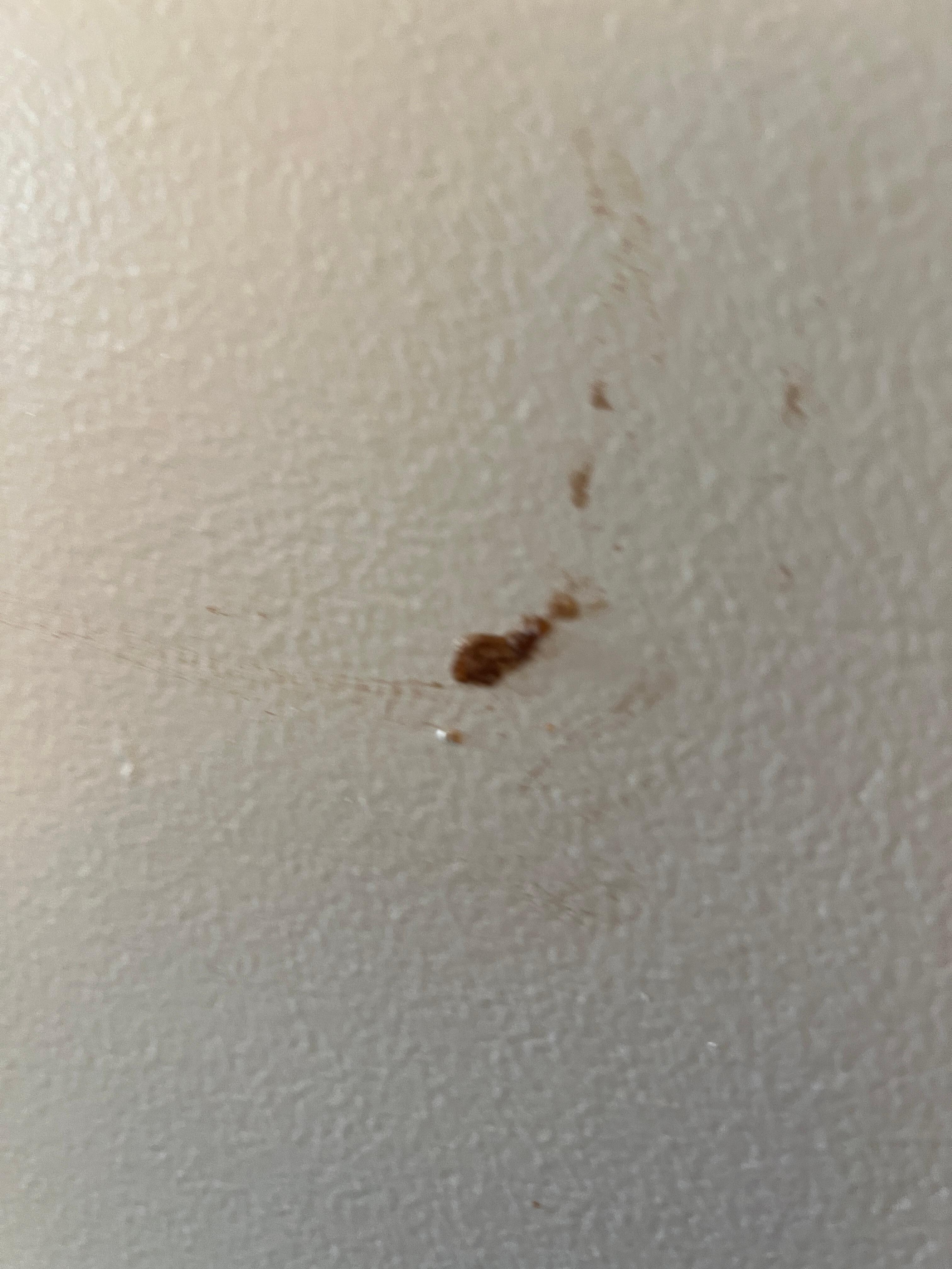 Could be poo or not,  but want going to investigated