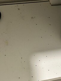 I don't think they cleaned before our arrival.