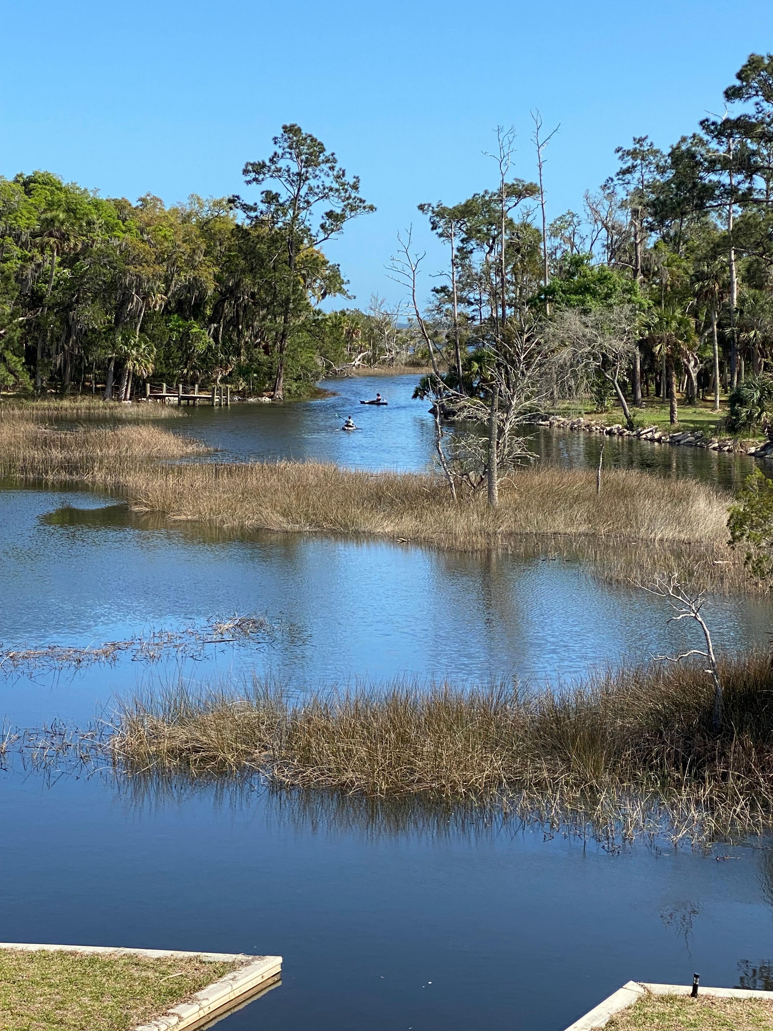 Kayaking down the creek!