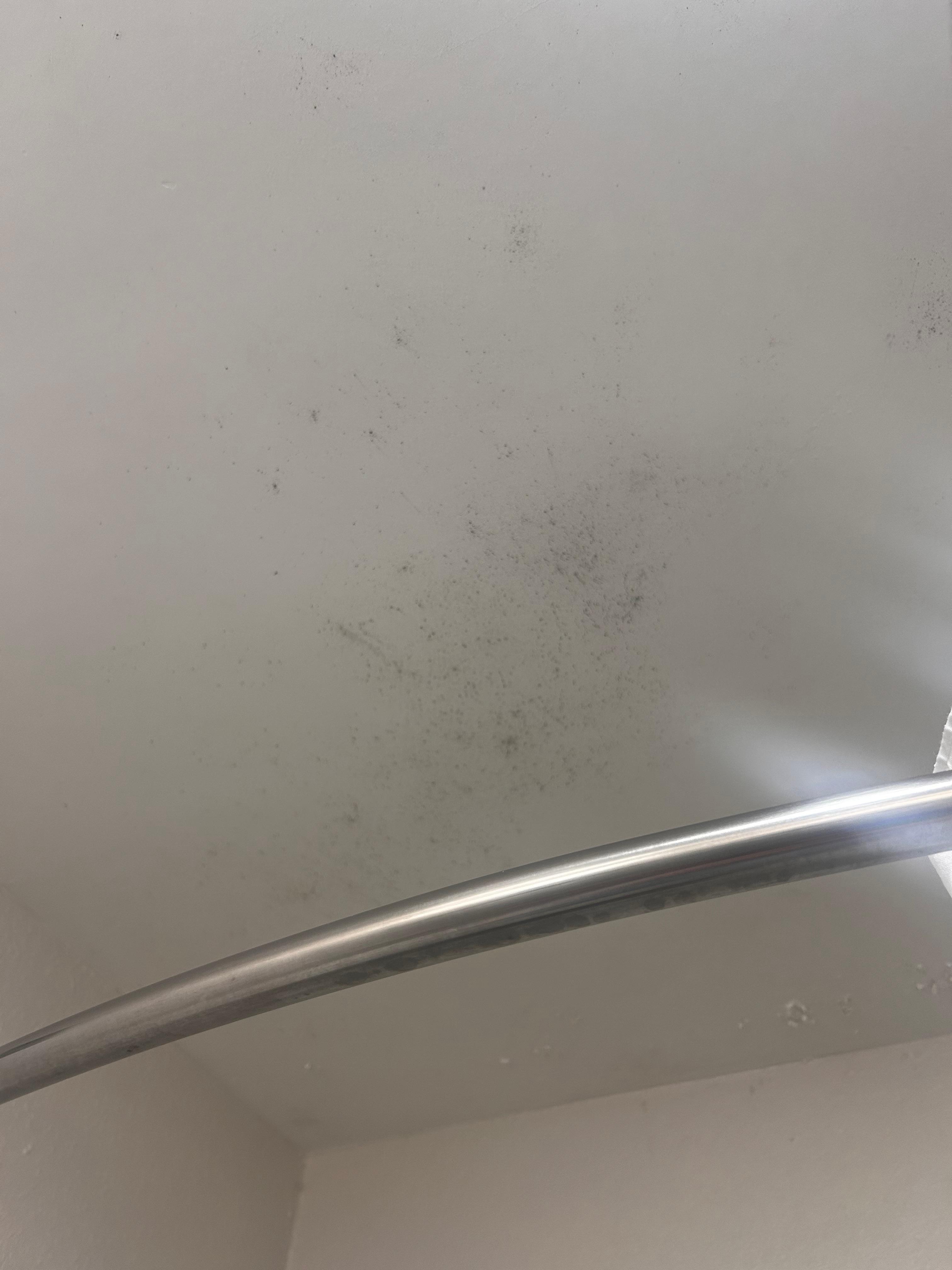 Mold in the bathroom 