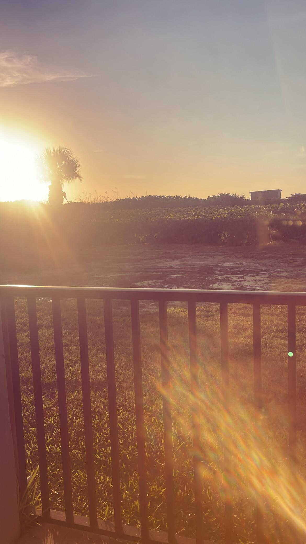 Sunrise 