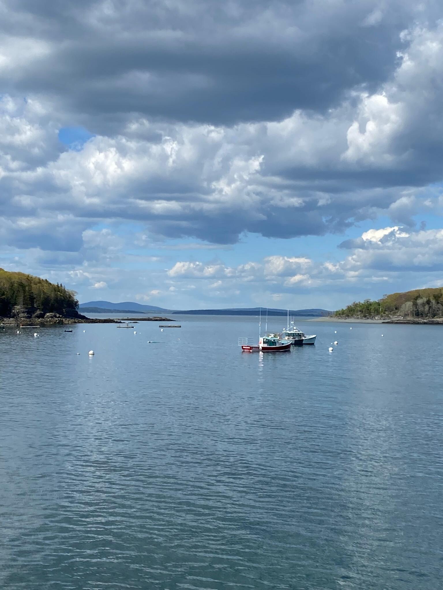 A view from the Harbor.Awesome day!