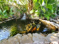 Pretty pond in back patio area.