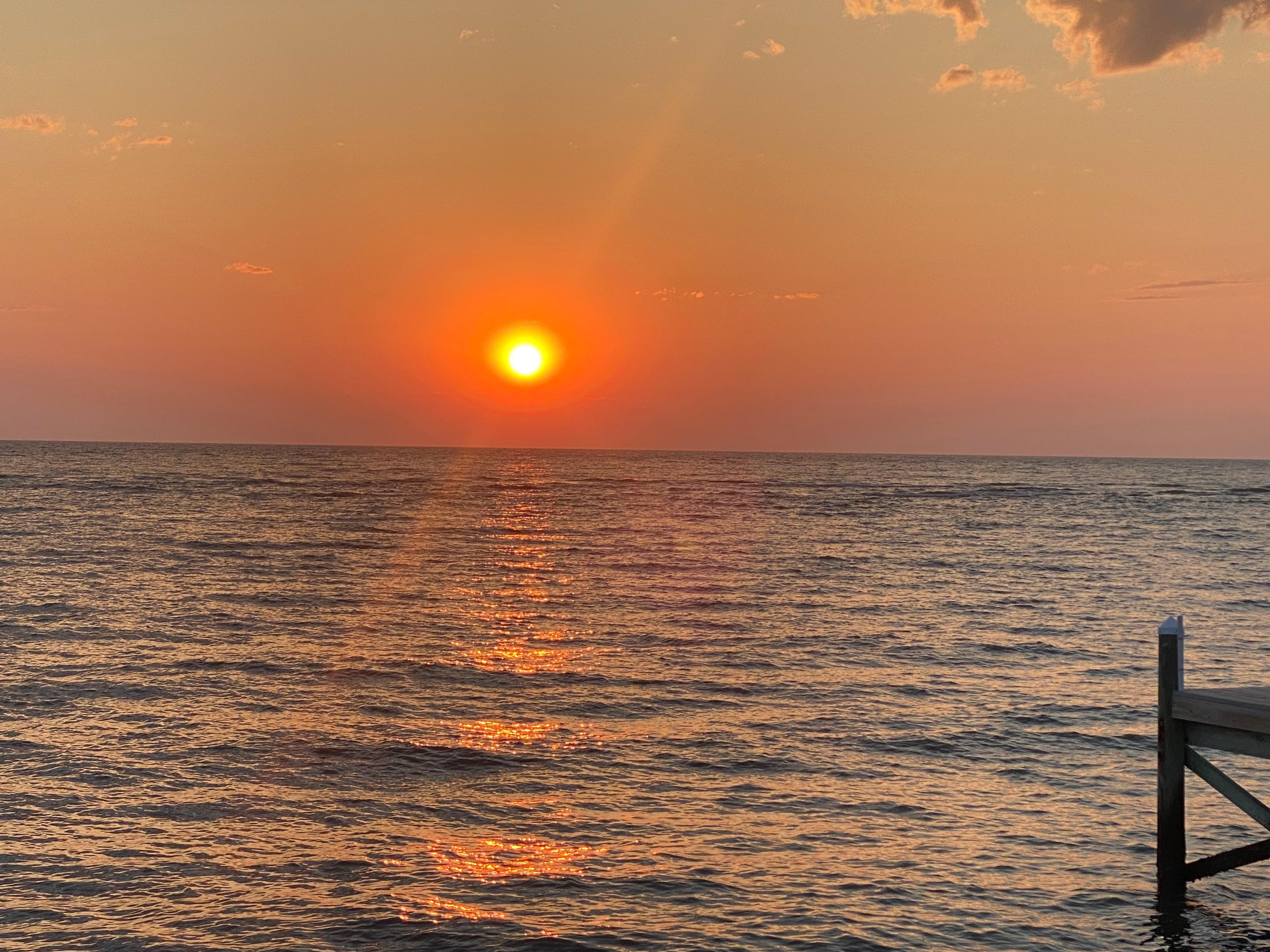 All photos with iPhone. 