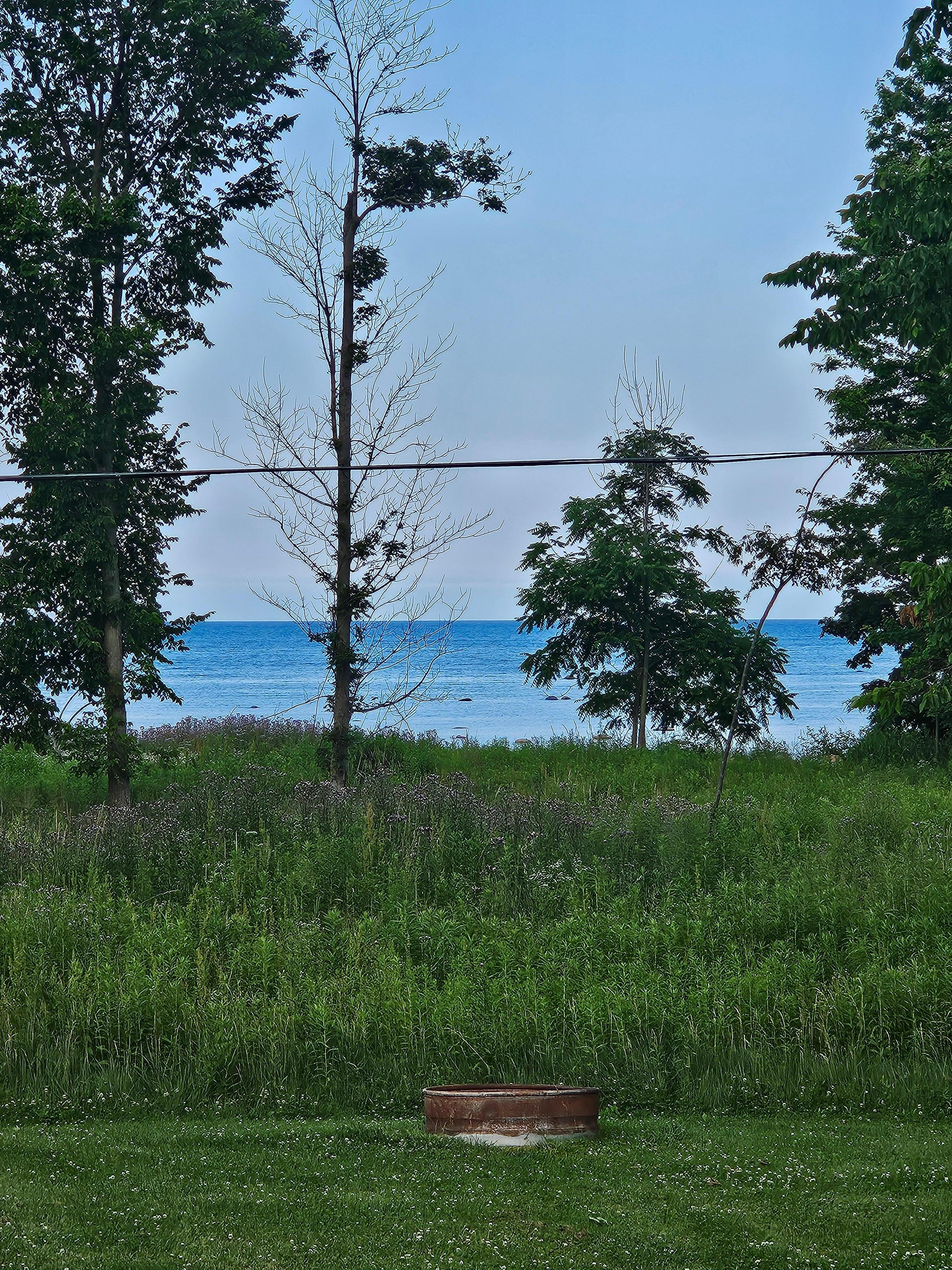 View from cottage