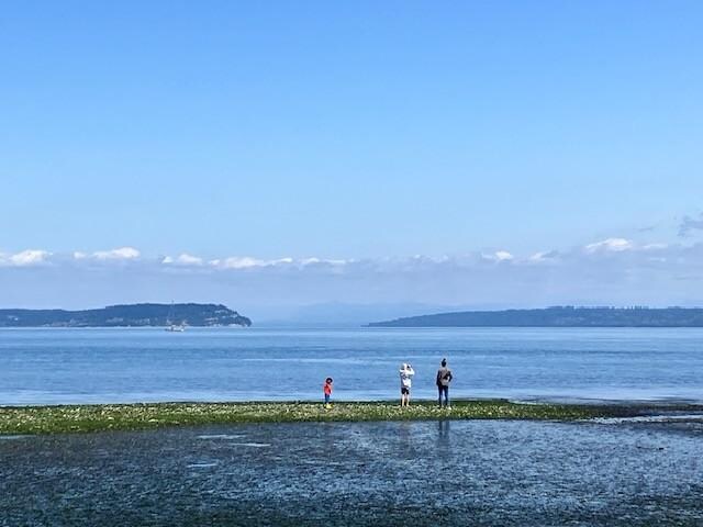 low tide