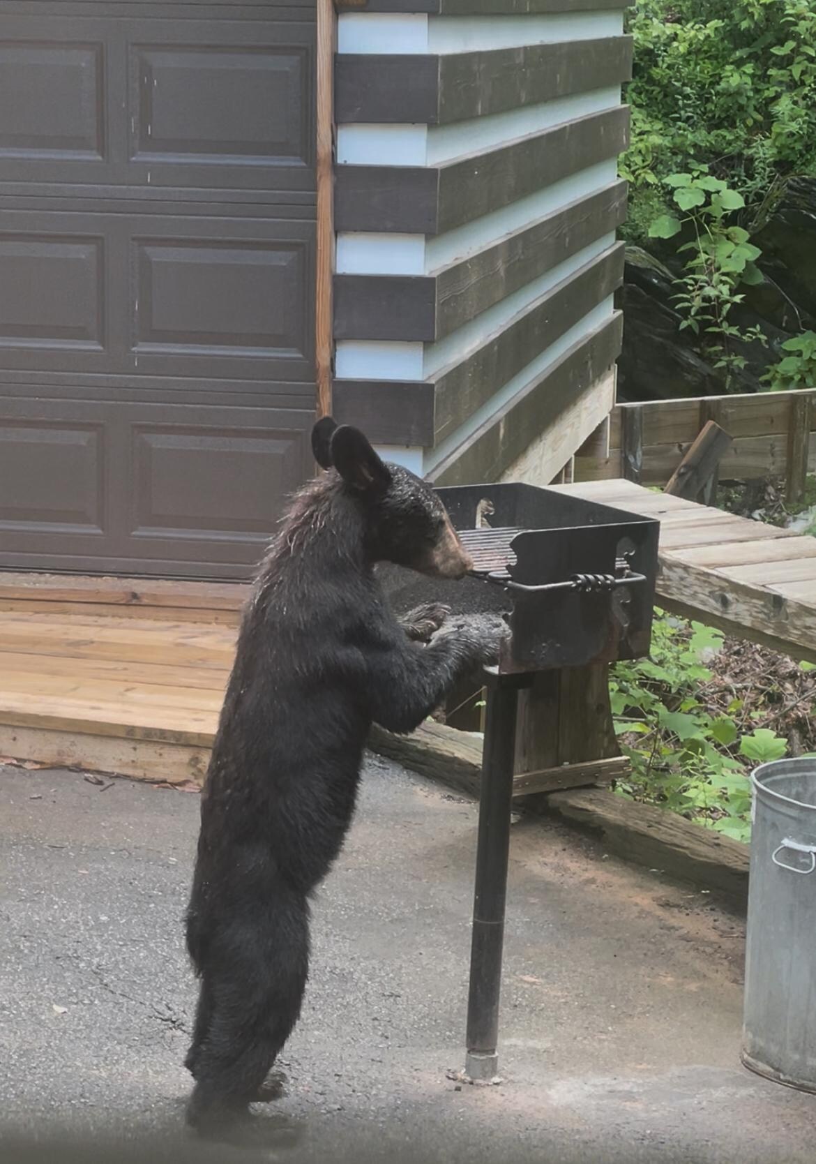 Cleaning the grill. 