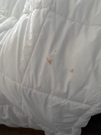 Red spots on cover