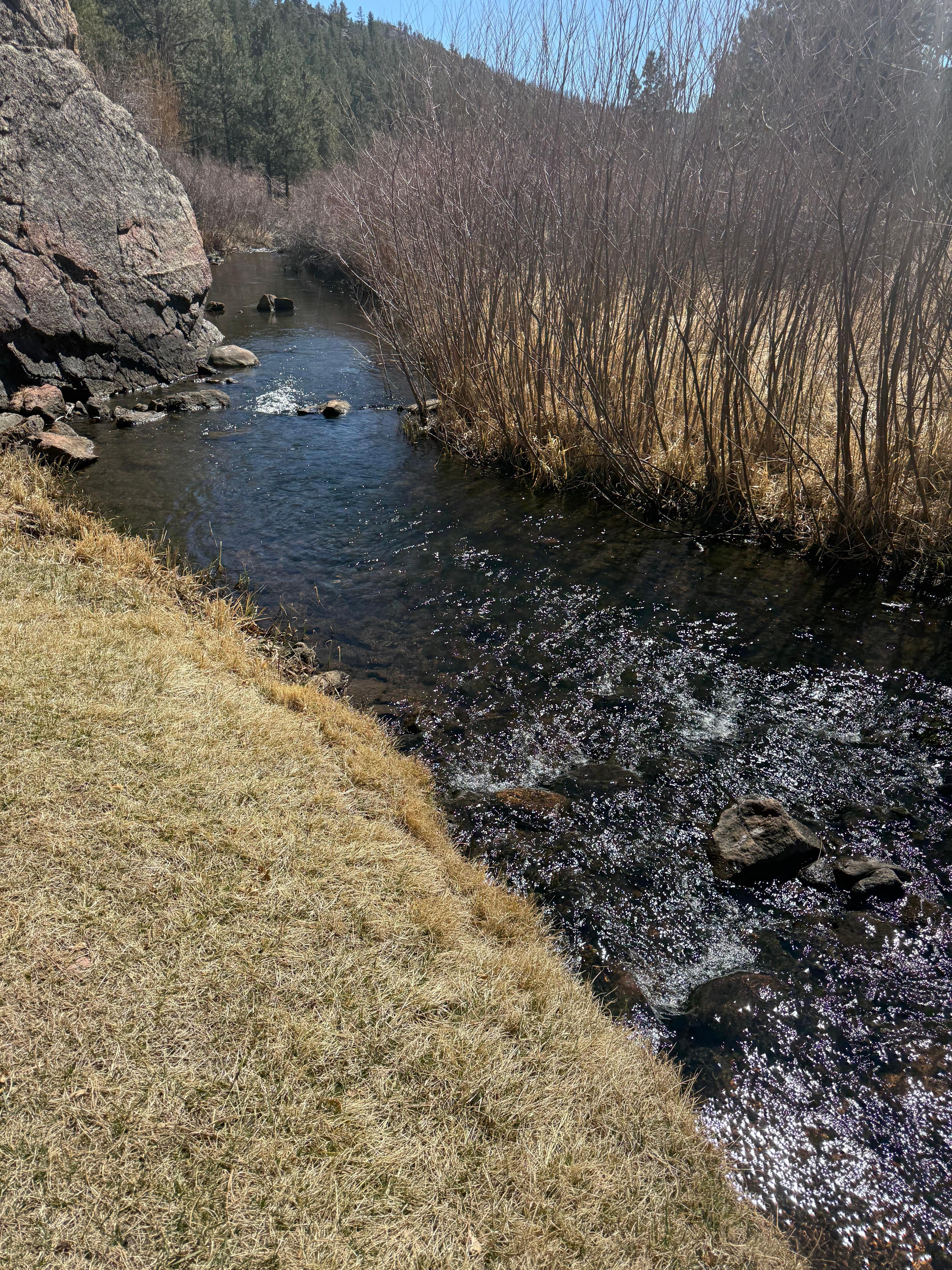 Creek in front of cabin