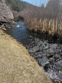 Creek in front of cabin