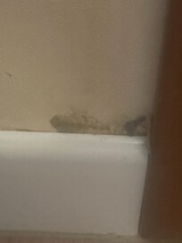 What is this?