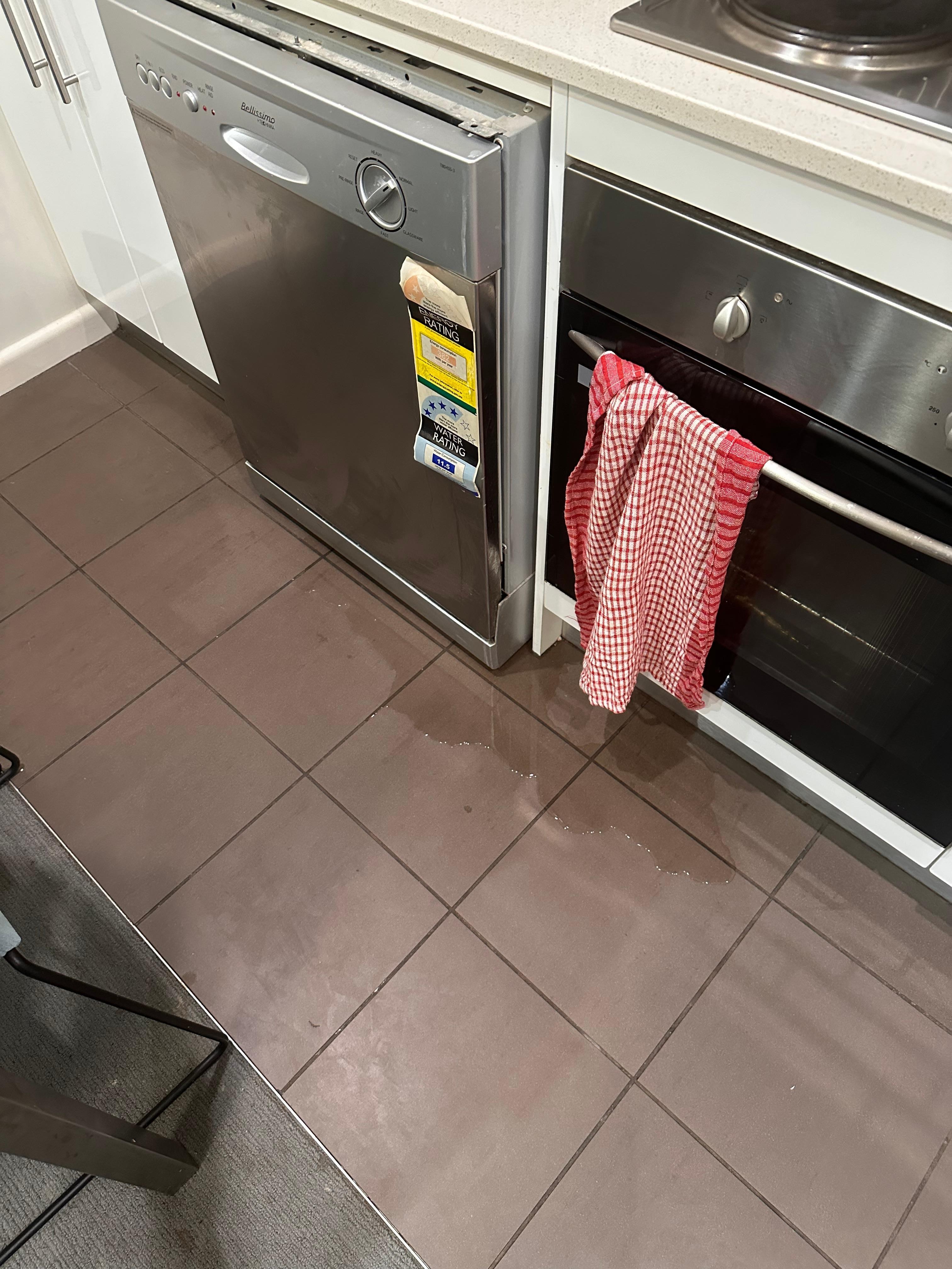 Dishwasher leaking over floor 