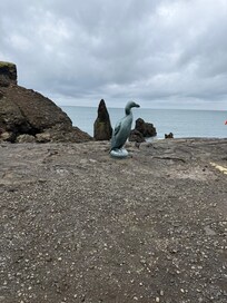 Rugged coastline.