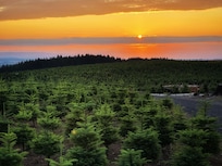 Sunset from house