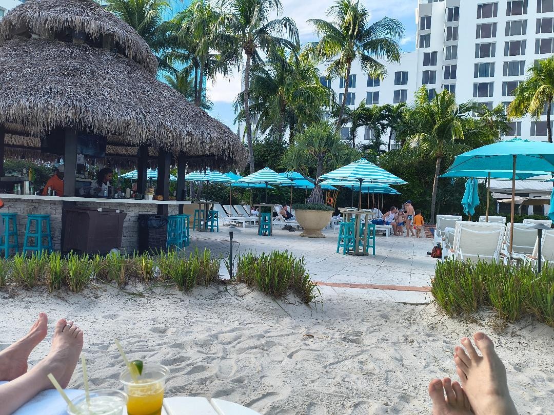 poolside bar with relaxing sandy lounger area