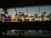 Sunsets were colorful!