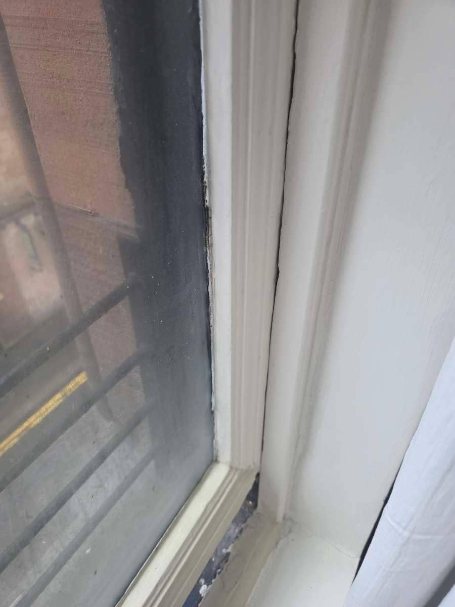 Mouldy window 