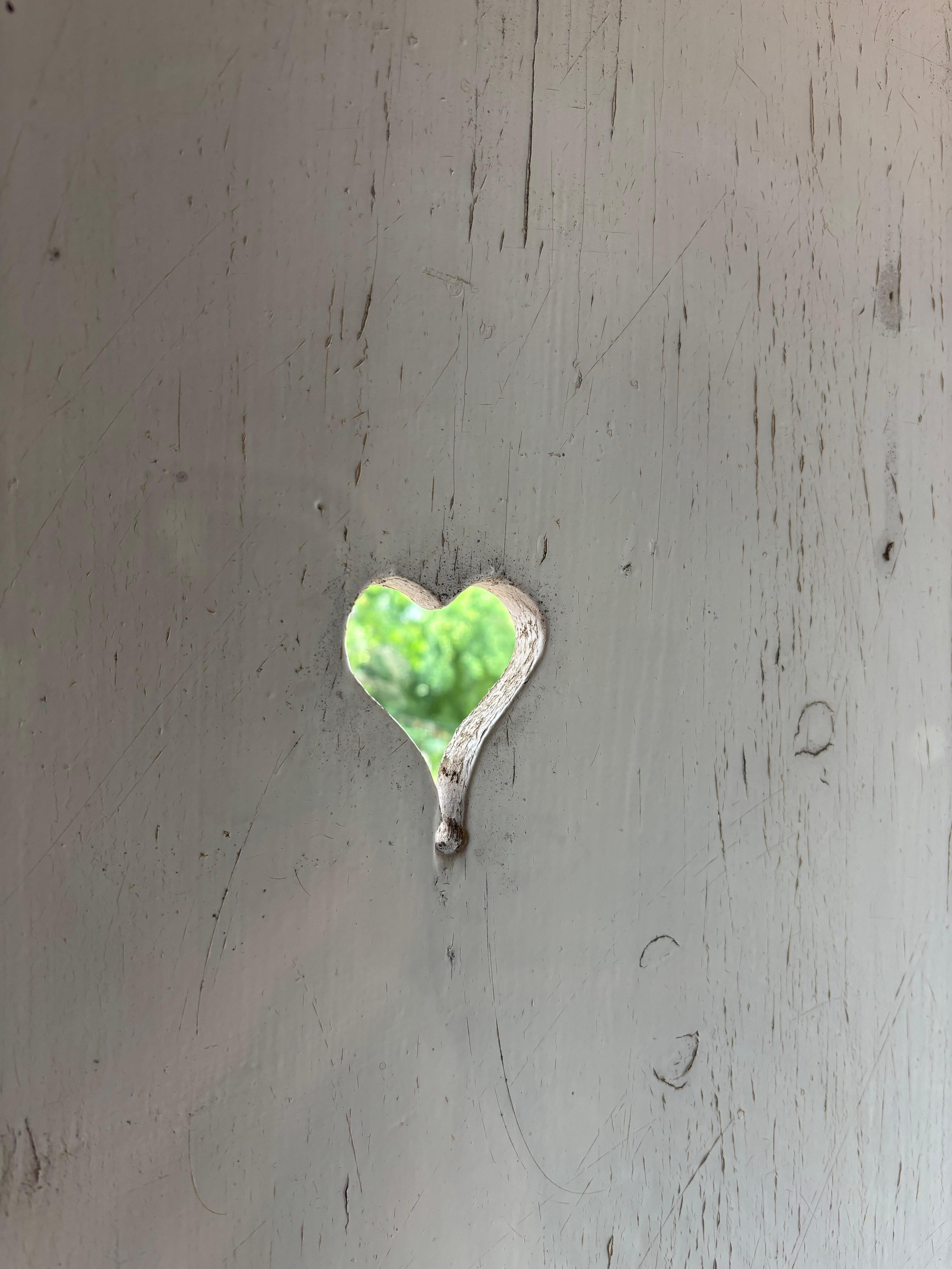 Fensterläden