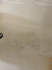 Shower floors